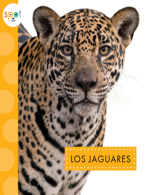 cover image of Los jaguares